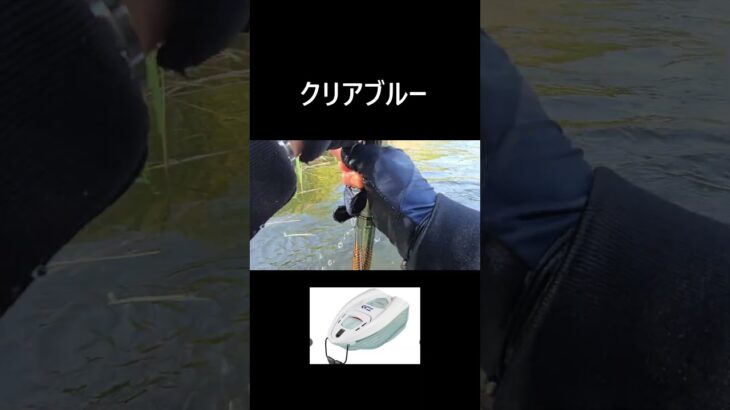 さようなら　#shorts  #鮎釣り   #渓流釣り