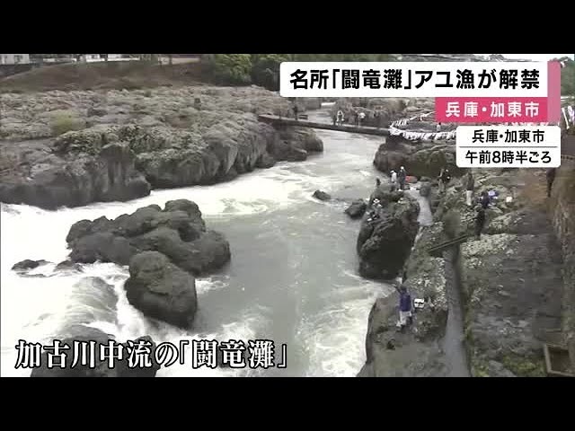 アユ釣り解禁　加古川中流の名所「闘竜灘」　稚魚１万匹放流　本格シーズンは来月から　兵庫・加東市