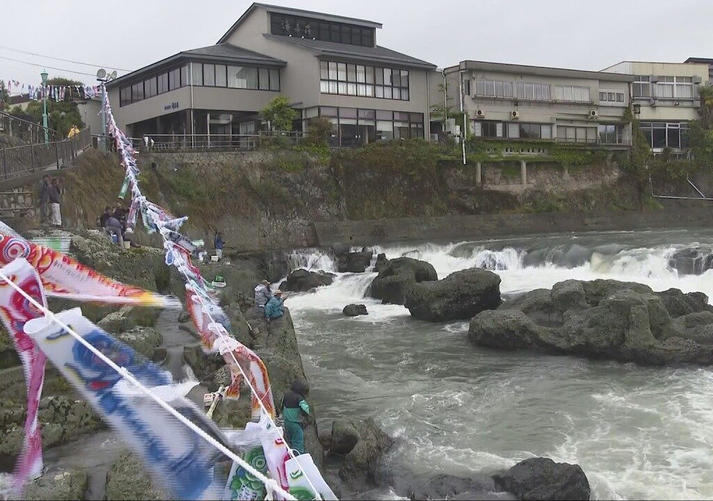 加古川中流の闘竜灘　アユ釣り解禁