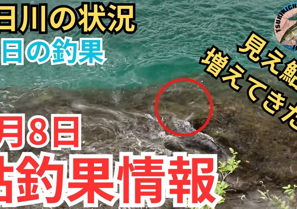 【鮎釣果情報】明日からの天気に期待！気になる水位と天気そして釣果は？