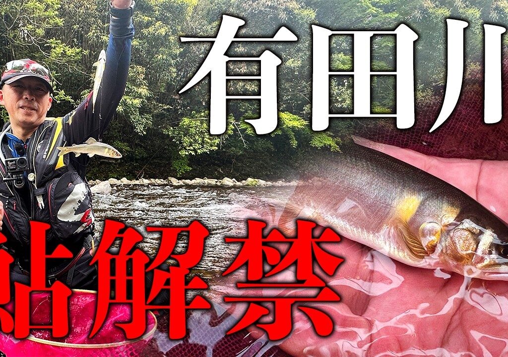 西日本一早い解禁に行ってみた！【鮎釣り】