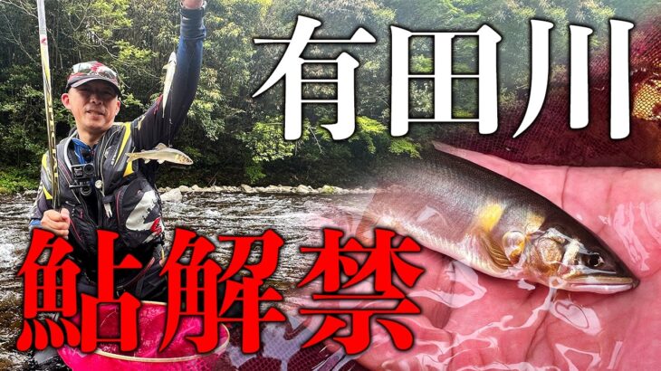 西日本一早い解禁に行ってみた！【鮎釣り】