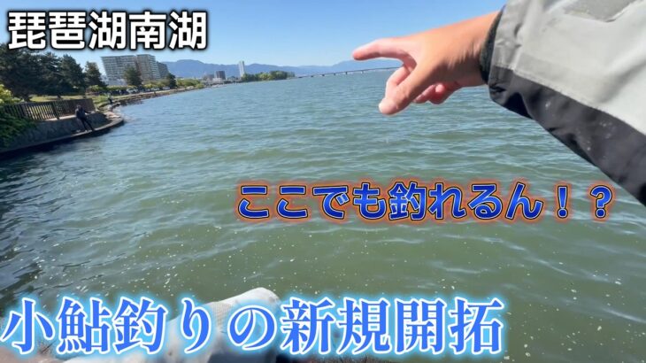 【小鮎釣り】琵琶湖の南湖で小鮎が釣れるスポットを新規開拓してみた！？