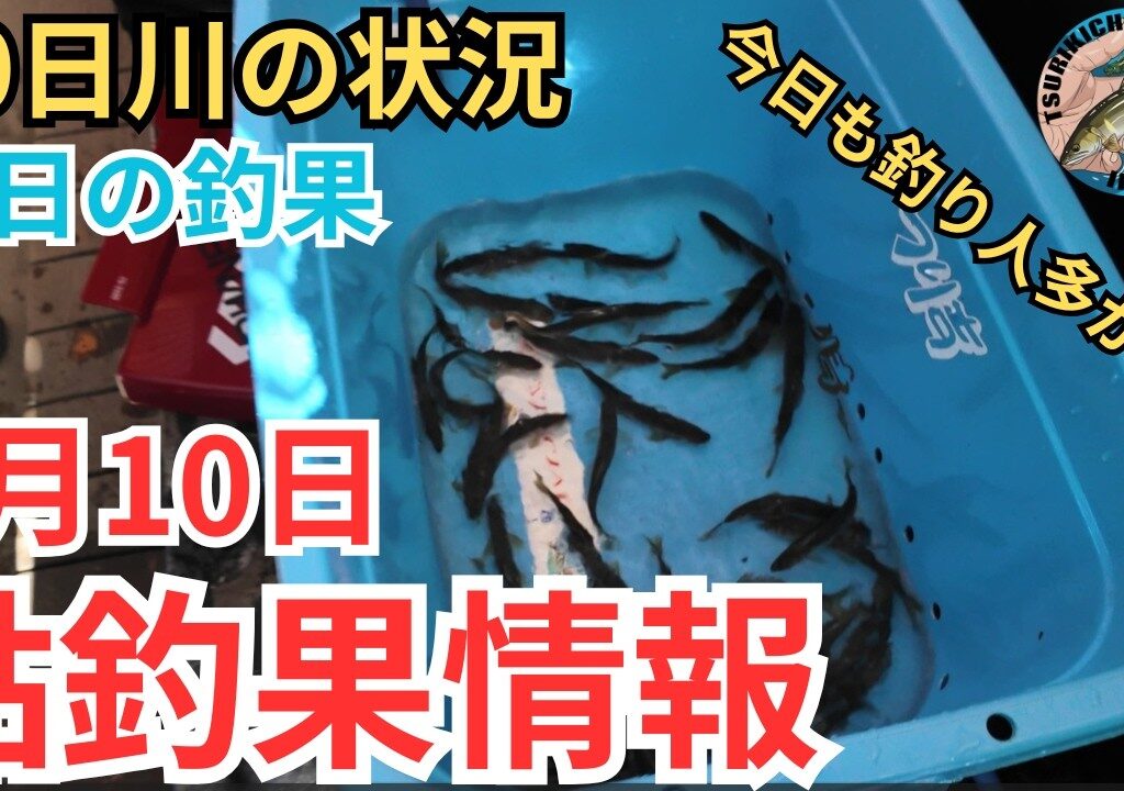 【鮎釣果情報】林誠二会長鮎釣り始動！気になる水位と天気そして釣果は？