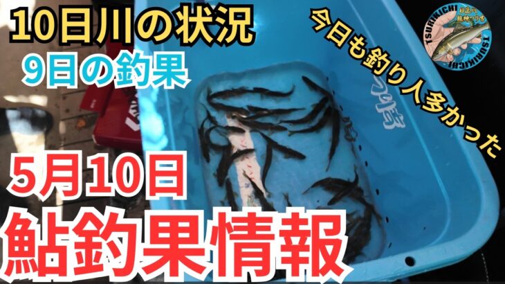 【鮎釣果情報】林誠二会長鮎釣り始動！気になる水位と天気そして釣果は？