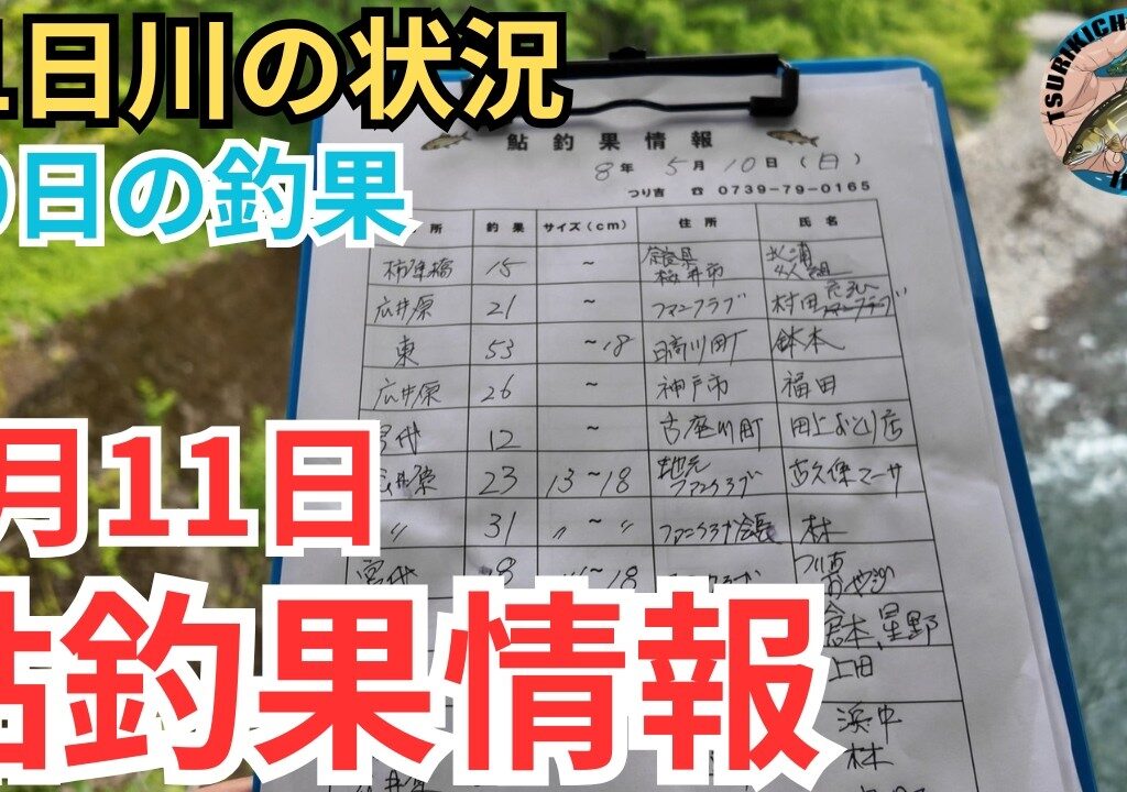【鮎釣果情報】安井と丹生ノ川の状況。気になる水位と天気そして釣果は？