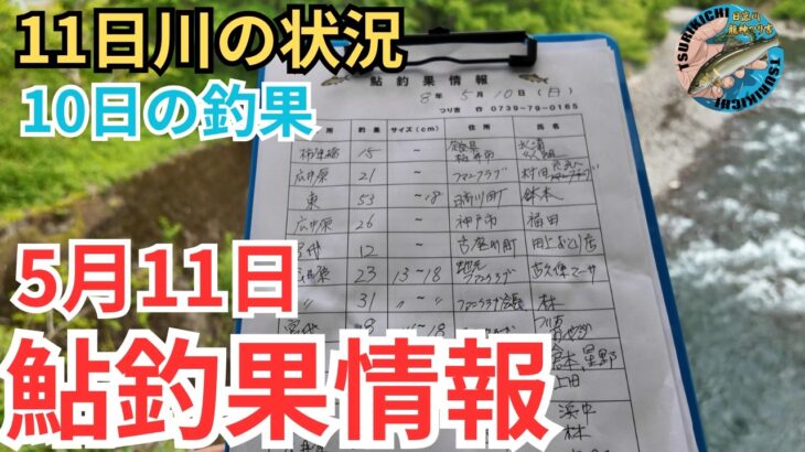 【鮎釣果情報】安井と丹生ノ川の状況。気になる水位と天気そして釣果は？