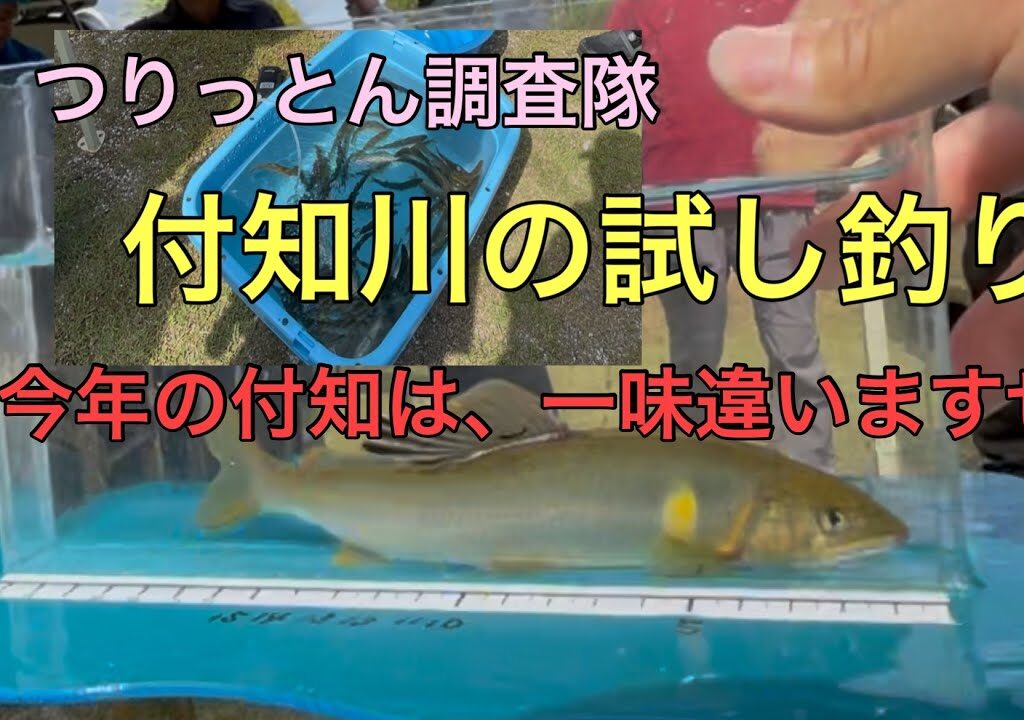 今年の付知川は、期待大かもよ❤️