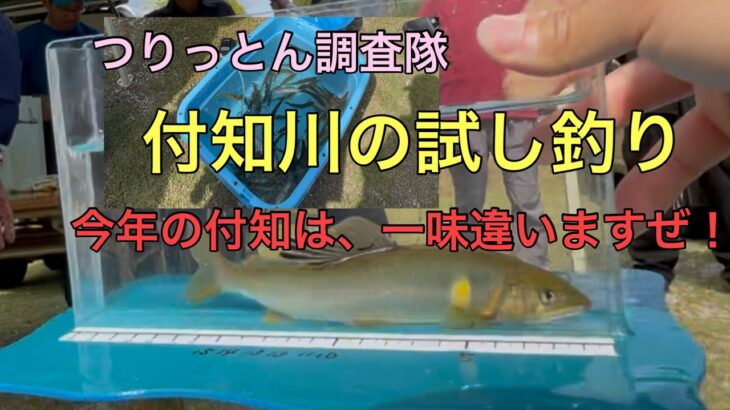 今年の付知川は、期待大かもよ❤️