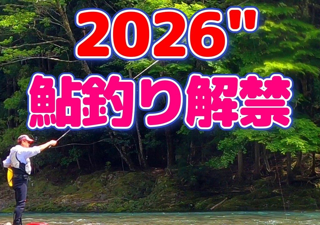 【鮎釣り】今年もやります!!解禁はハードモードでも結果良かった良かった!!