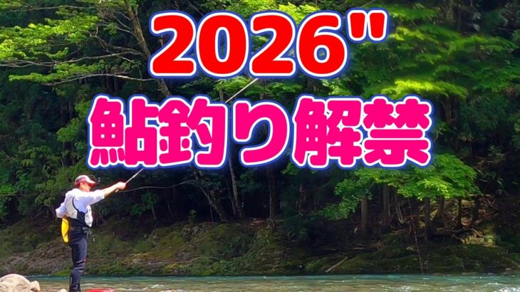 【鮎釣り】今年もやります!!解禁はハードモードでも結果良かった良かった!!