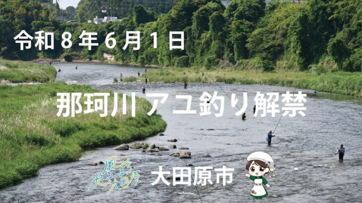 【アユ釣り】大田原市の那珂川でアユ釣りを楽しもう！