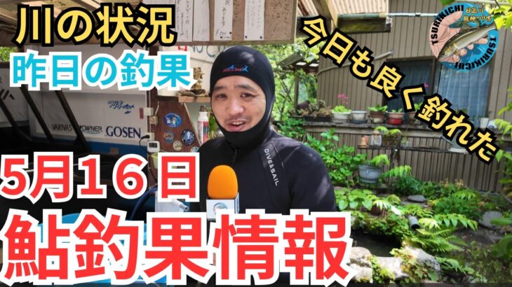 【鮎釣果情報】今日も良く釣れた！気になる水位と天気そして釣果は？