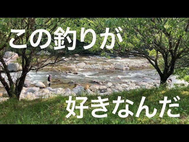 めっちゃ楽しい鮎釣りの季節が来る