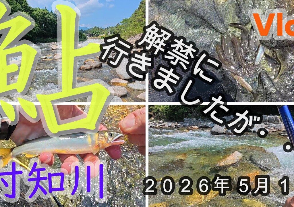 【付知川】解禁に行きましたが・・・　２０２６．５．１６