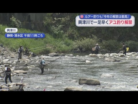 アユ釣りシーズン到来　釣果５０匹超など大にぎわい　静岡県内最も早い興津川　今年はルアー解禁も
