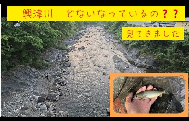 【２０２６年５月２０日　興津川あゆ解禁】解禁日のあゆ釣りの釣行
