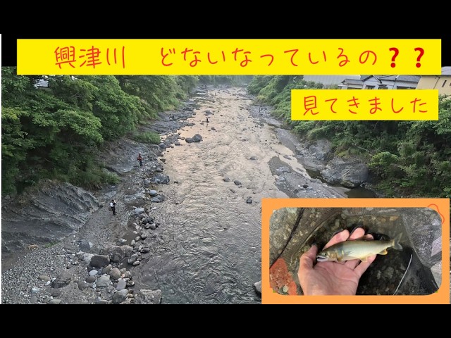 【２０２６年５月２０日　興津川あゆ解禁】解禁日のあゆ釣りの釣行