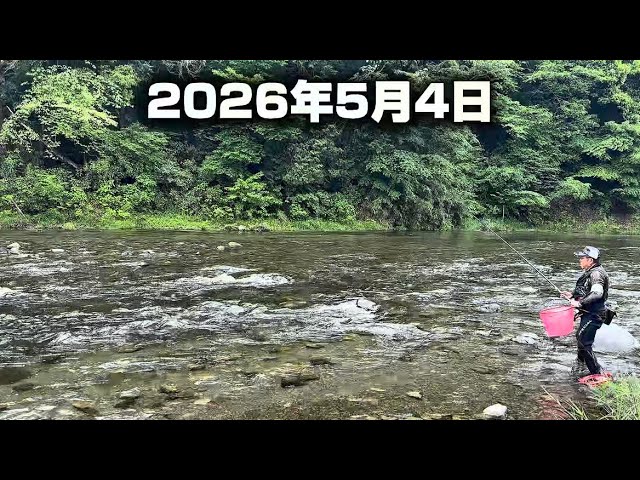 【秋川　試し釣り】 鮎調査決行！