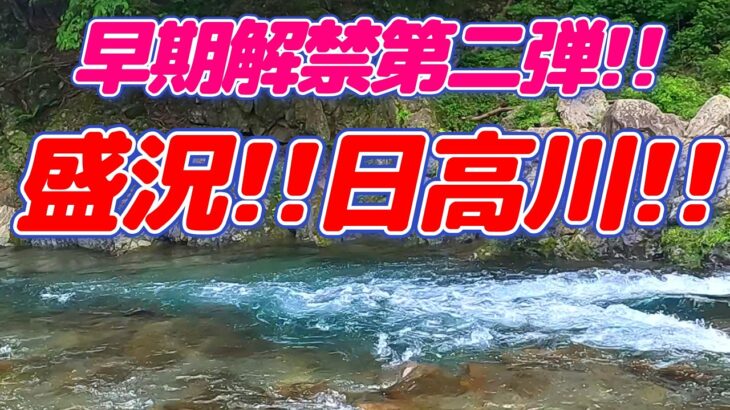 【鮎釣り】入るとこが無い!!　仕方がない。秘境へ突撃!!