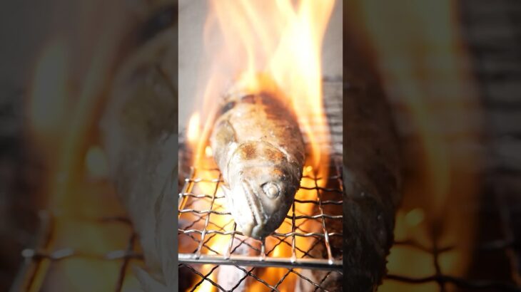 鮎の塩焼きⅡ(骨まで食える)