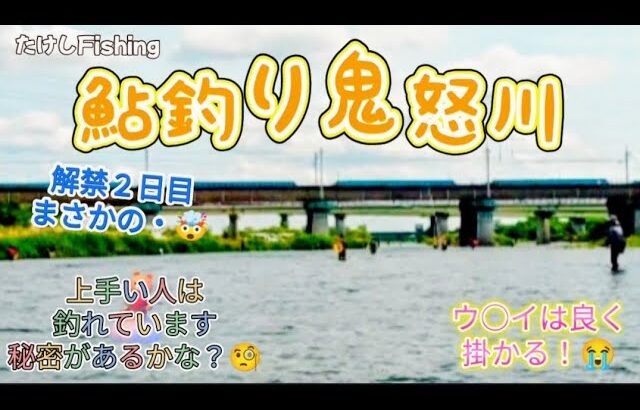 [鮎釣り]鬼怒川解禁２日目☺️今年はどうかな？🤔解禁日７０匹🥳まさかの・🤯釣れる所は？🧐