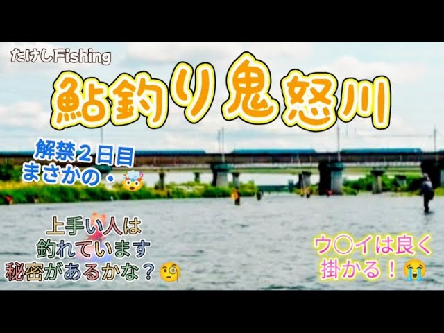 [鮎釣り]鬼怒川解禁２日目☺️今年はどうかな？🤔解禁日７０匹🥳まさかの・🤯釣れる所は？🧐
