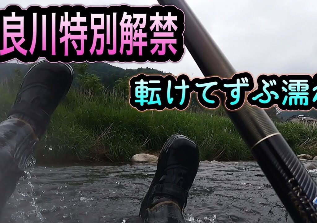 和良川特別解禁　雨、低水温のエステル攻略