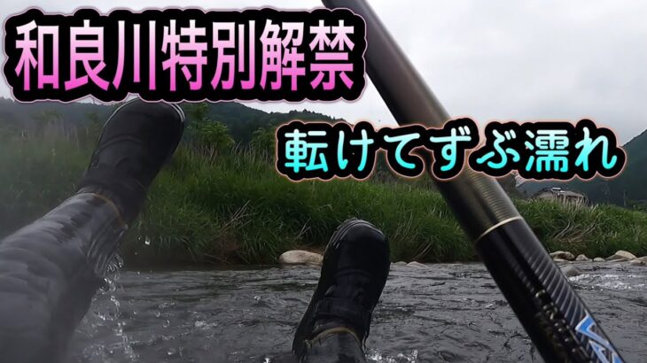 和良川特別解禁　雨、低水温のエステル攻略