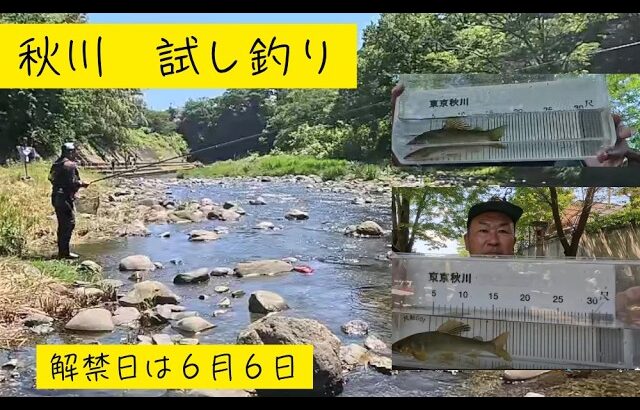 【２０２６年５月３０日　秋川　鮎試し釣り】