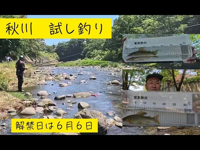 【２０２６年５月３０日　秋川　鮎試し釣り】