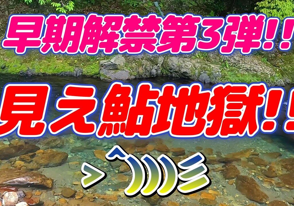 【鮎釣り】見えてる!!しかも追ってくる!!　でも中々ムズカシイ……