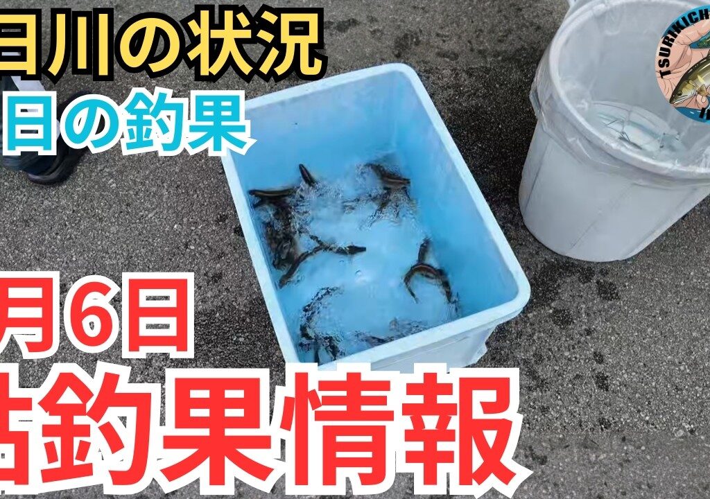 【鮎釣果情報】おとりが足りない！？気になる水位と天気そして釣果は？