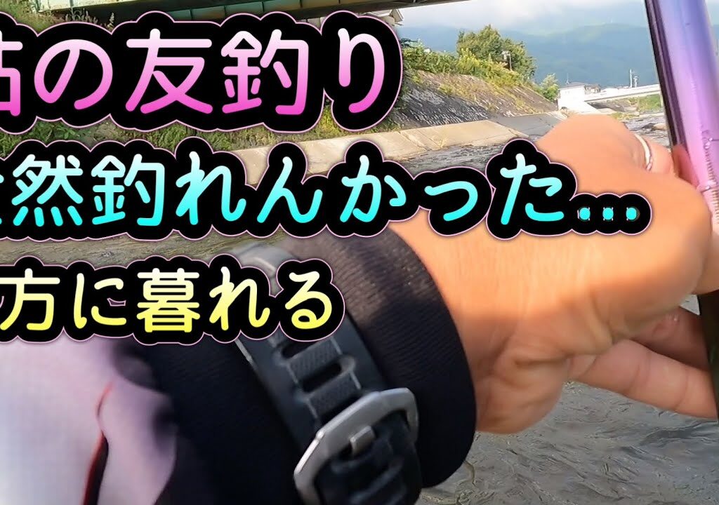 鮎の友釣り！余りにも釣れなくてビビるw