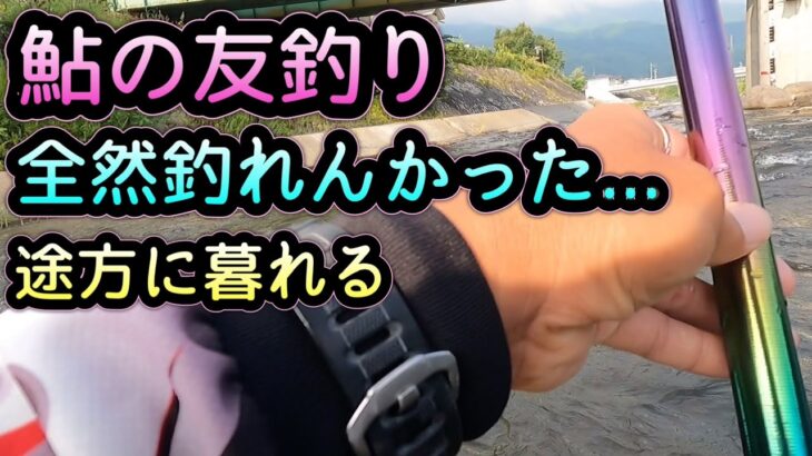 鮎の友釣り！余りにも釣れなくてビビるw