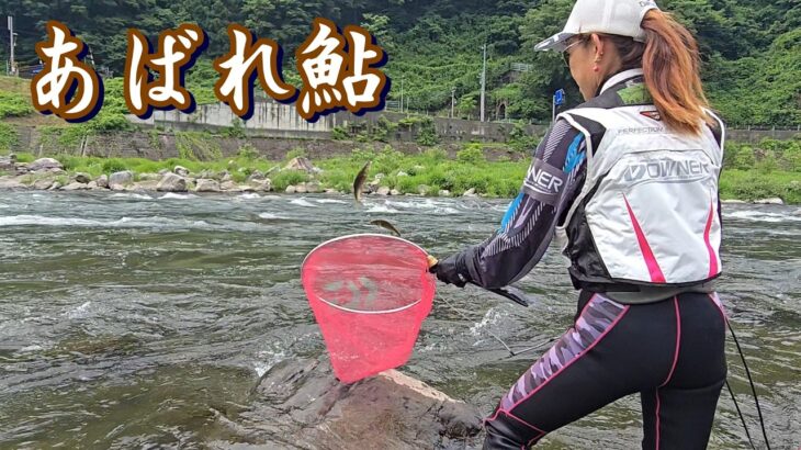 【飛騨のあばれ鮎】15ｔ放水の試し釣り