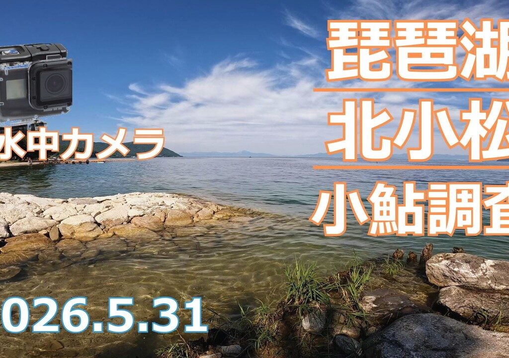【小鮎釣り2026】湖西・北小松の小鮎釣り＆水中映像レポート