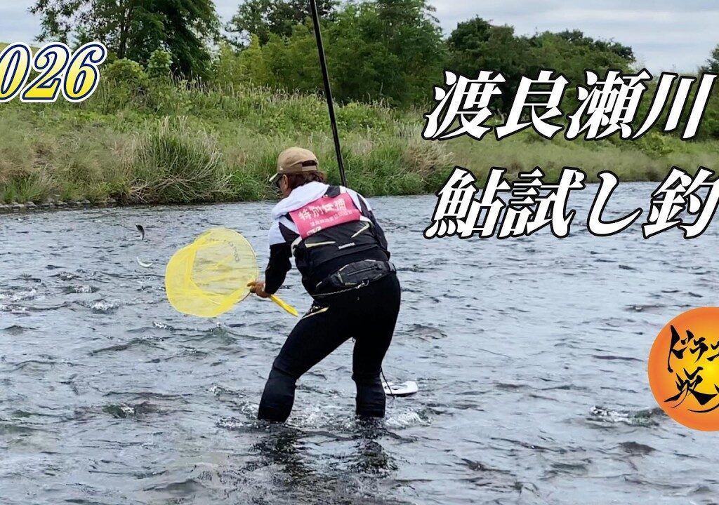【2026鮎釣り】渡良瀬川 鮎試し釣り❗