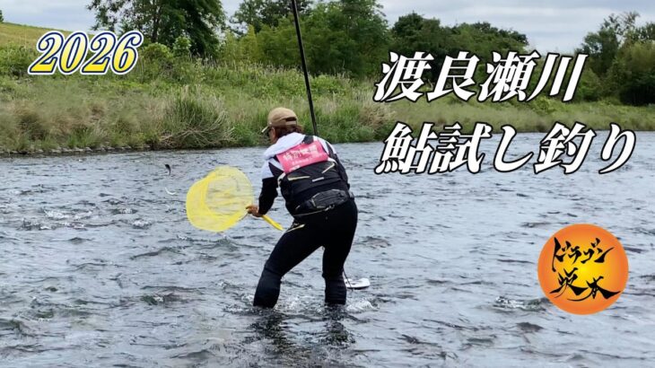 【2026鮎釣り】渡良瀬川 鮎試し釣り❗