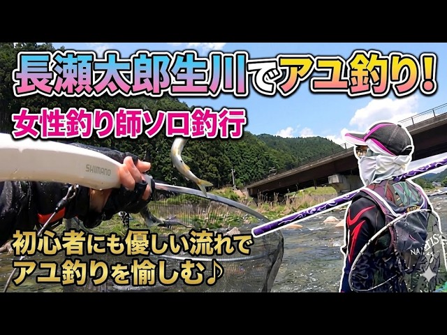 女性アユ釣り師の釣行記🐟初心者にも優しい長瀬太郎生川で鮎の友釣り修行の日々！【2026年　鮎釣り】