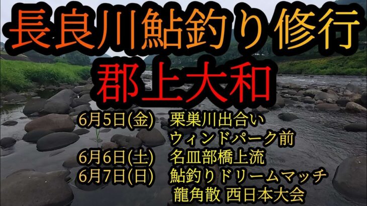 【長良川鮎釣り修行】2026郡上大和