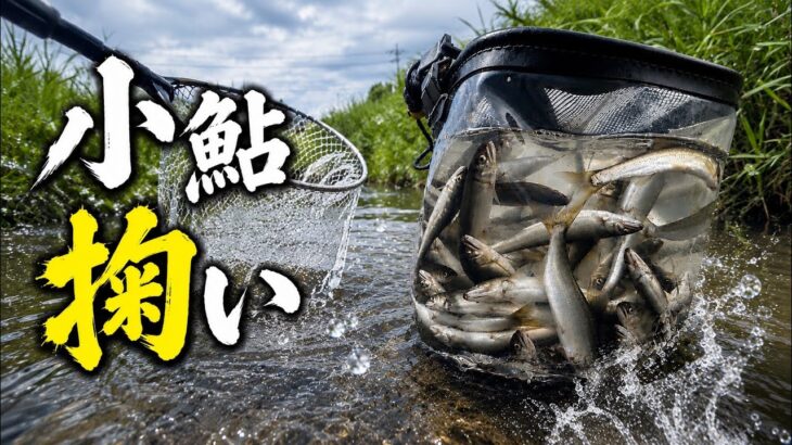 【小鮎掬い】2026開幕！今年の琵琶湖は当たり年か！？