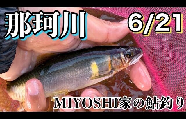 [2026鮎釣り]条件は最悪😞⤵️の日