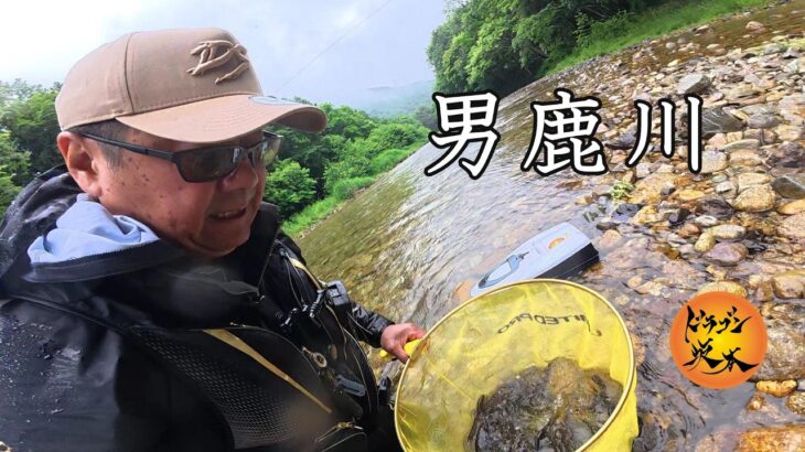 【2026鮎釣り】今年の男鹿川は❓