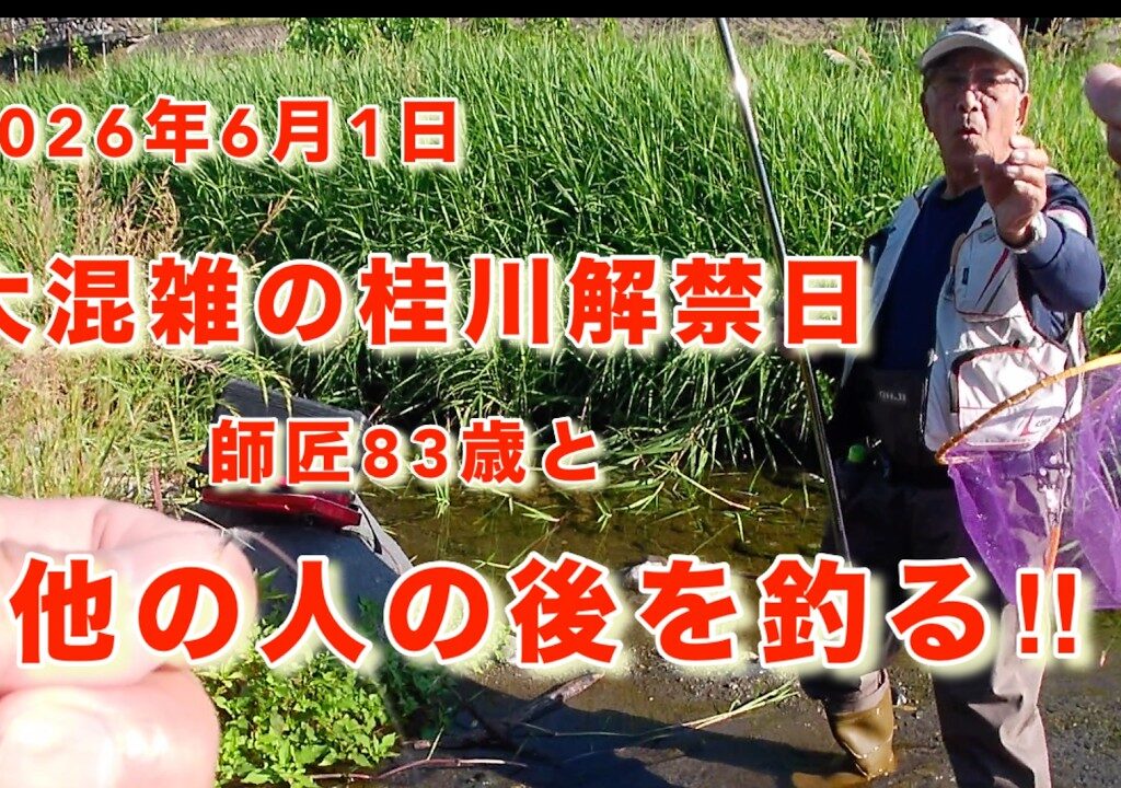 【桂川アユ解禁2026】大人気の桂川解禁！人が多すぎて場所がない…激シブ？の他の人の後を師匠と釣ってみた
