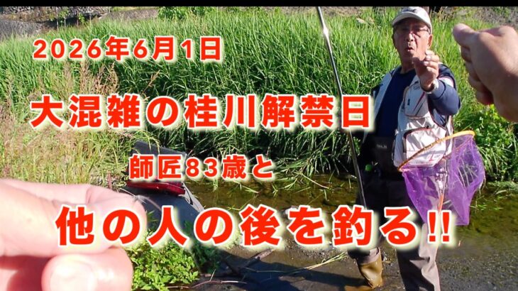 【桂川アユ解禁2026】大人気の桂川解禁！人が多すぎて場所がない…激シブ？の他の人の後を師匠と釣ってみた