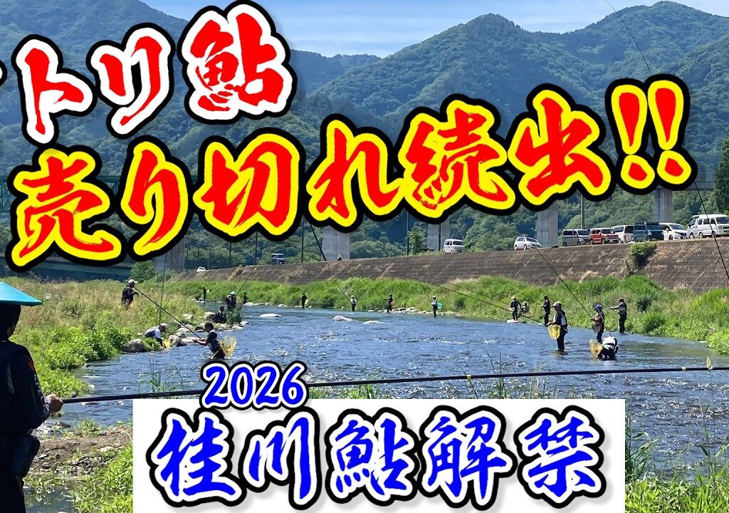 オトリ鮎売り切れ続出【桂川鮎解禁2026】島田、巌、梁川、富浜各支部の現場をリポート【桂川漁協】