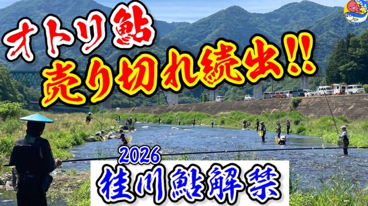 オトリ鮎売り切れ続出【桂川鮎解禁2026】島田、巌、梁川、富浜各支部の現場をリポート【桂川漁協】