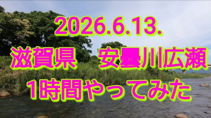 2026.6.13.滋賀県 安曇川広瀬　1時間アユ釣り
