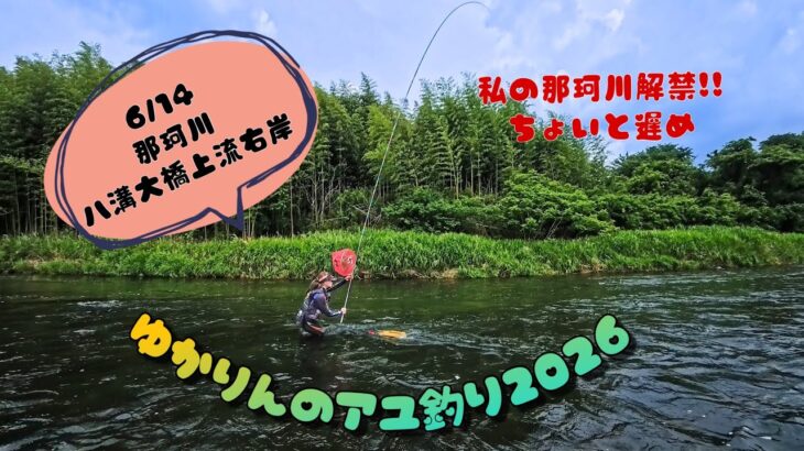 2026.6.14栃木県那珂川、八溝大橋上流で無事解禁できました！
